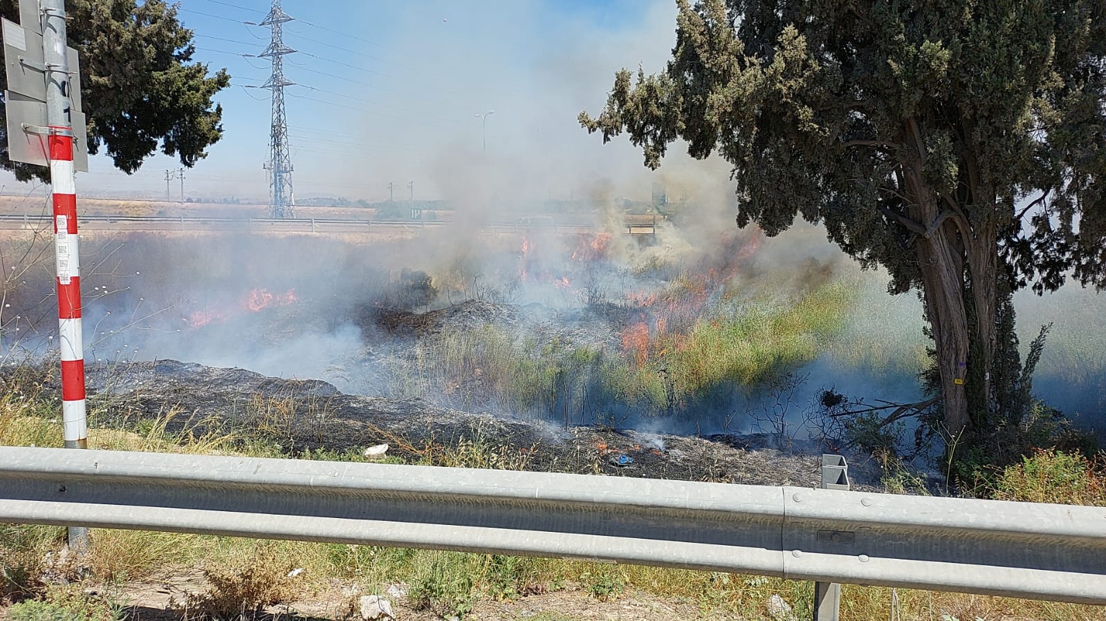 WhatsApp Image 2022-06-10 at 2.30.22 PM.jpeg